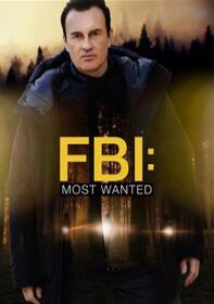 联邦调查局 第五季 FBI Season 5