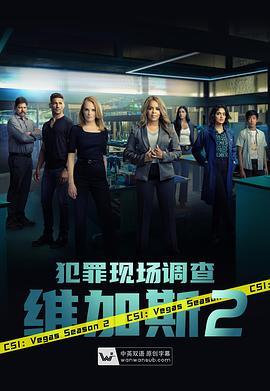 犯罪现场调查：维加斯 第二季 CSI: Vegas Season 2