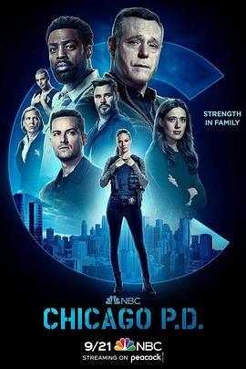 芝加哥警署 第十季 Chicago P.D. Season 10